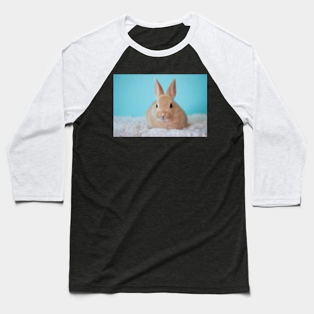 Rabbit on the Carpet Baseball T-Shirt by kawaii_shop